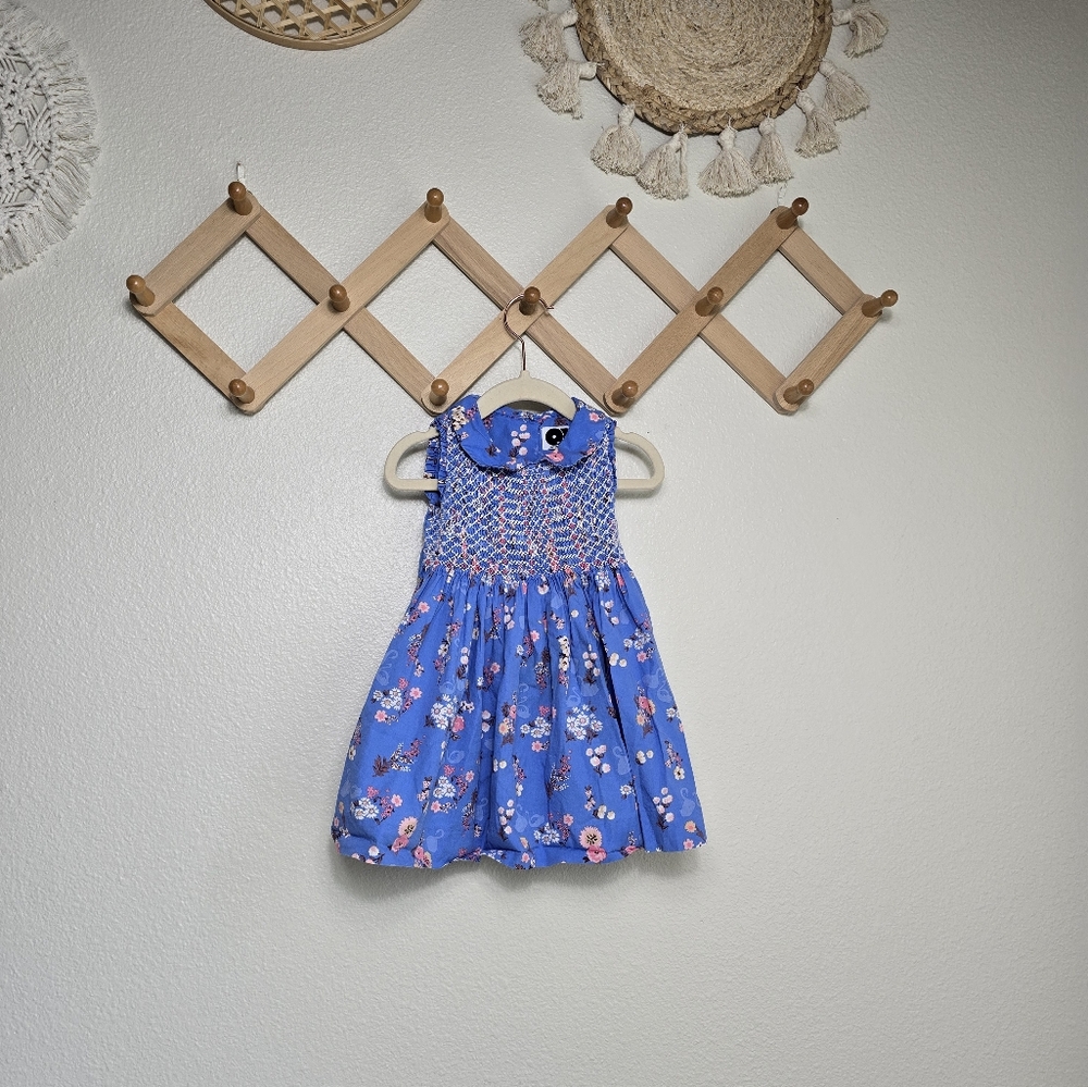 Question Everything Collared Hand-Smocked Floral Girls Dress In Blue Sixe 18-24M